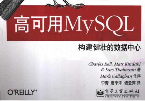 高可用MySQL：构建健壮的数据中心.pdf