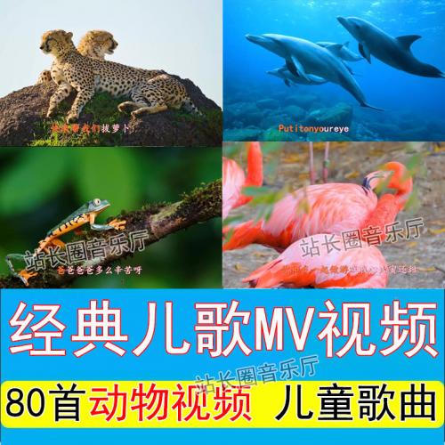 80首经典儿歌动物MV视频 早教儿歌大全宝宝爱听的热门儿歌精选 12号